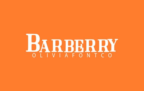 Barberry: A Serif Font with a Romantic Handwritten Charm