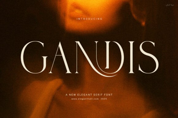 Gandis Serif Font for Modern Web Design